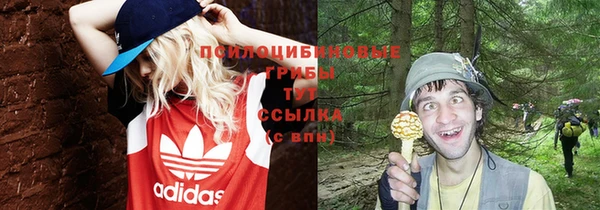 ALPHA-PVP Володарск